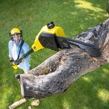 Best Weed Control  in Timberlake, VA
